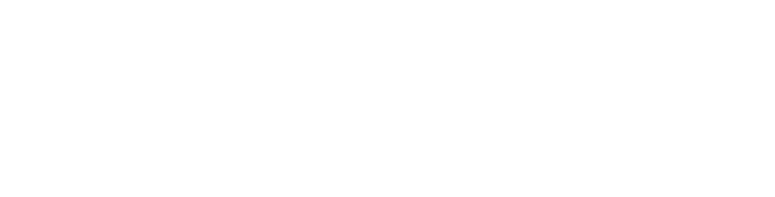 tt logo